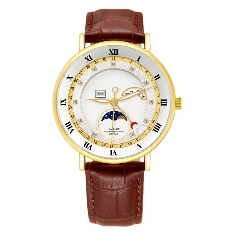 Chronograph Wrist Watch (BROWN)
